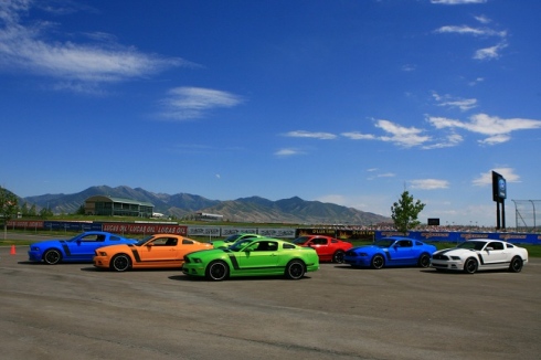 BOSS Colors
