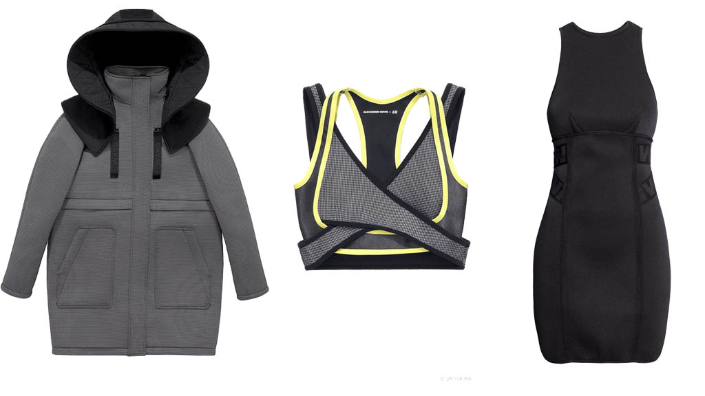 ebayalexanderwang